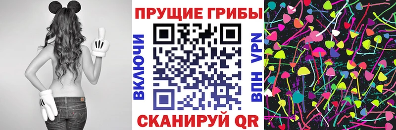 Псилоцибиновые грибы мицелий Светогорск